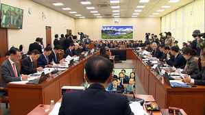 여야 모두 외교부 질타…"'두 국가론', 정부안 아냐" 정정