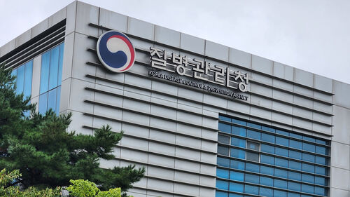 화재로 중단됐던 질병청 방역통합정보시스템 등 운영 재개