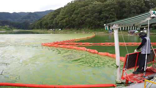 5대강 하수처리시설 방류수 내 인 함유량, 상수원만큼 줄이기로