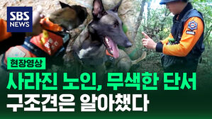 [현장영상] "살려줘요!" 조용하던 수색 현장, 대원들이 몰려간 그곳에는