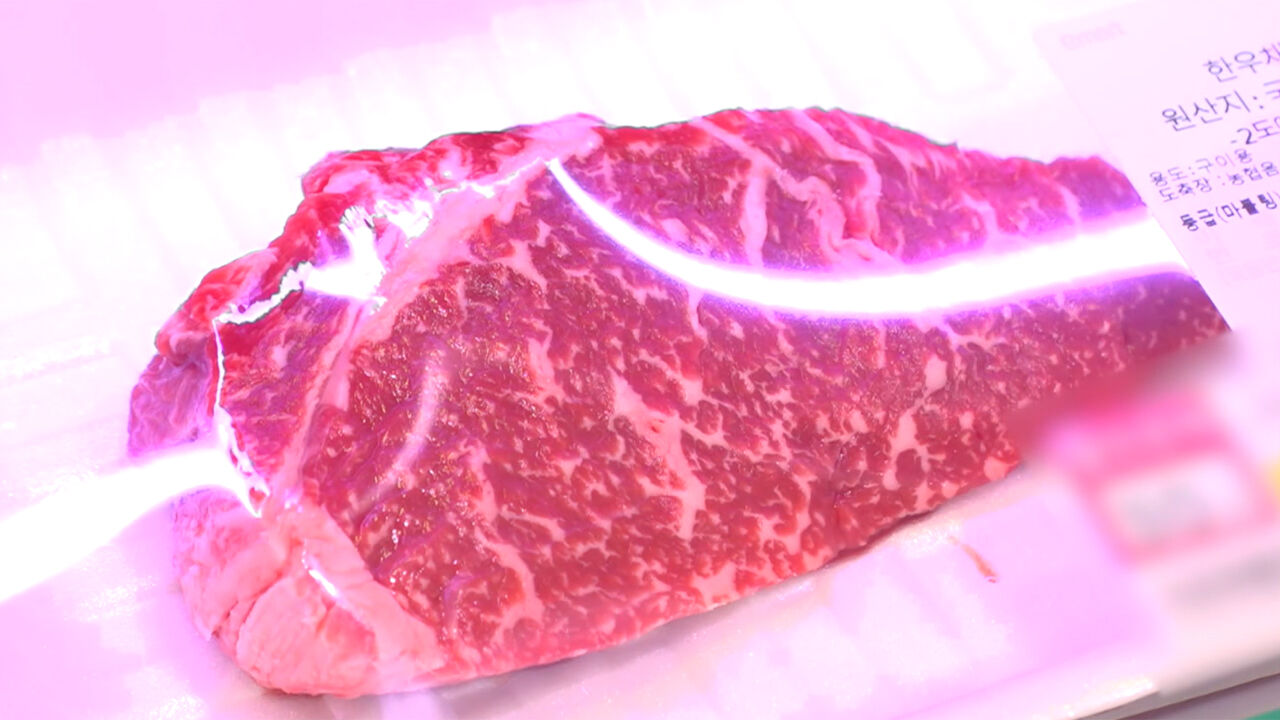 [친절한 경제] 한우 최대 50% 할인…인기 차종도 연중 최저가로 할인