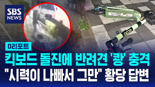 [D리포트] 킥보드 돌진에 반려견 쾅 충격…"시력이 나빠서 그만" 황당 답변