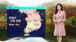 [날씨] 곳곳 단풍빛…일교차 큰 가을 날씨