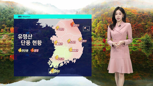 [날씨] 곳곳 단풍빛…일교차 큰 가을 날씨
