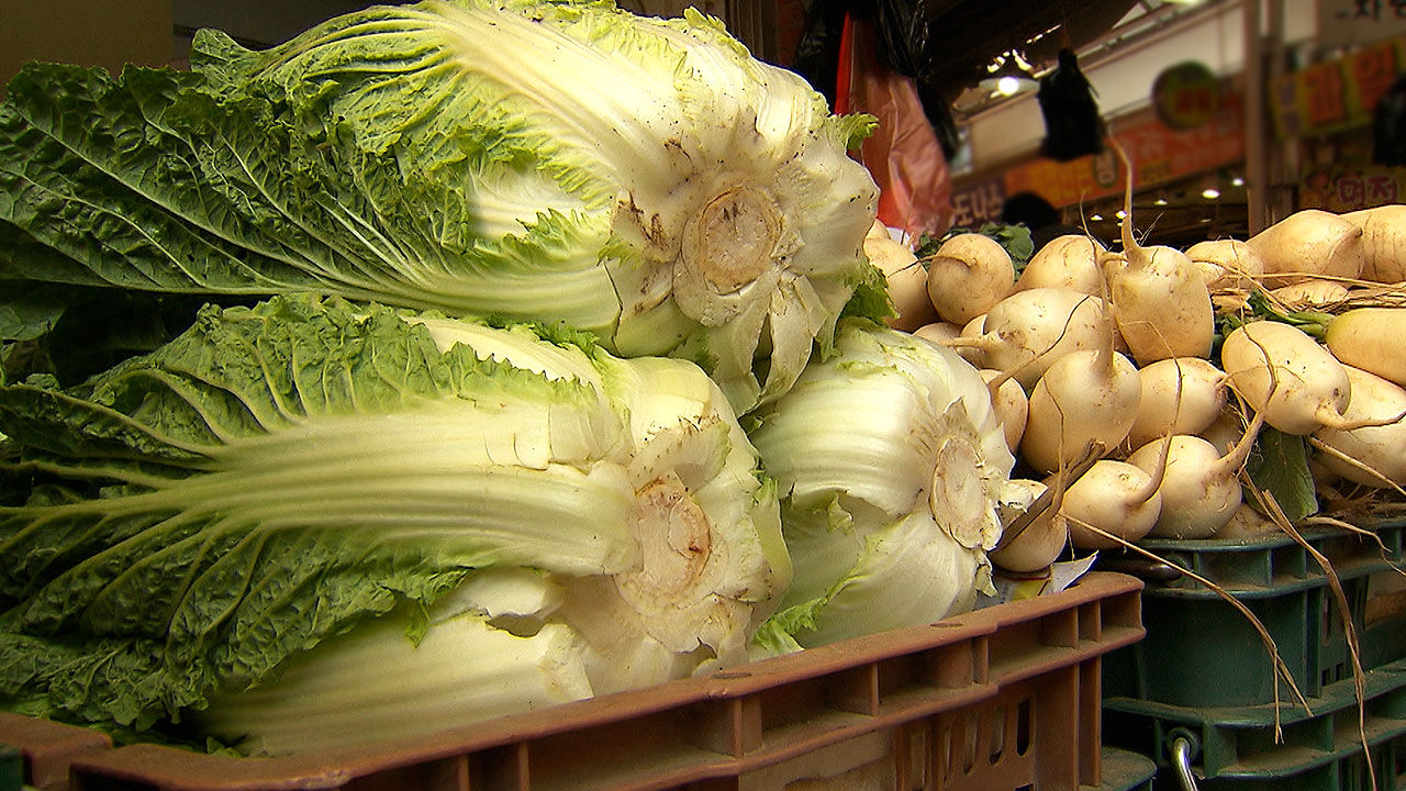 [친절한 경제] 배춧값 안정세…다시 "김장 할래요"