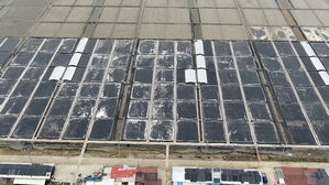 "인권침해 상징"…'문화유산' 지위 스스로 취소?