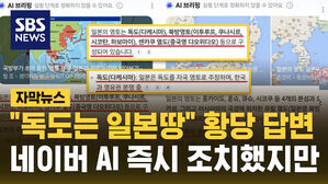 [자막뉴스] "독도는 일본 땅" 황당 답변 내놓은 네이버 AI…즉시 조치했지만