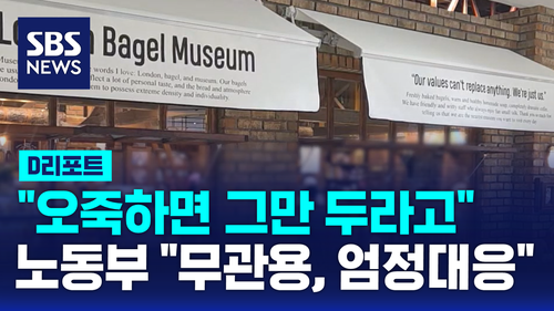 [D리포트] "오죽하면 그만두라고"…노동부 "무관용, 엄정 대응"
