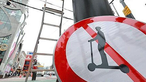 "치일 뻔" 불쑥 튀어나온다…부딪혔다간 의식 불명까지도