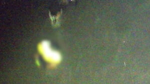 [아리]"과실 덮기 위해 은폐 지시..골든 타임 놓친 인재"(OK)