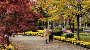 전국 흐리고 경기·부산·제주 등 비…내일 아침기온 4∼8도↓