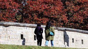 단풍으로 물드는 도심…내일부터 기온 '뚝'