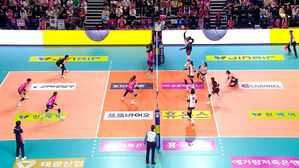 프로배구 페퍼저축은행, 흥국생명 완파…'단독 선두' 도약