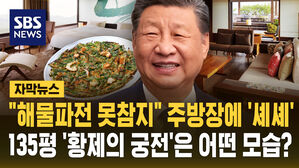 [자막뉴스] "해물파전 못 참지" 주방장에 '셰셰'…135평 '황제의 궁전'은 어떤 모습?