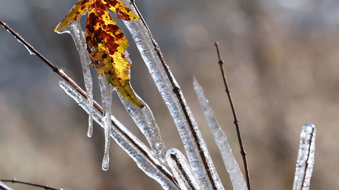 강원 향로봉 -5도 '뚝'…산지는 가을옷 벗고 겨울왕국 변신