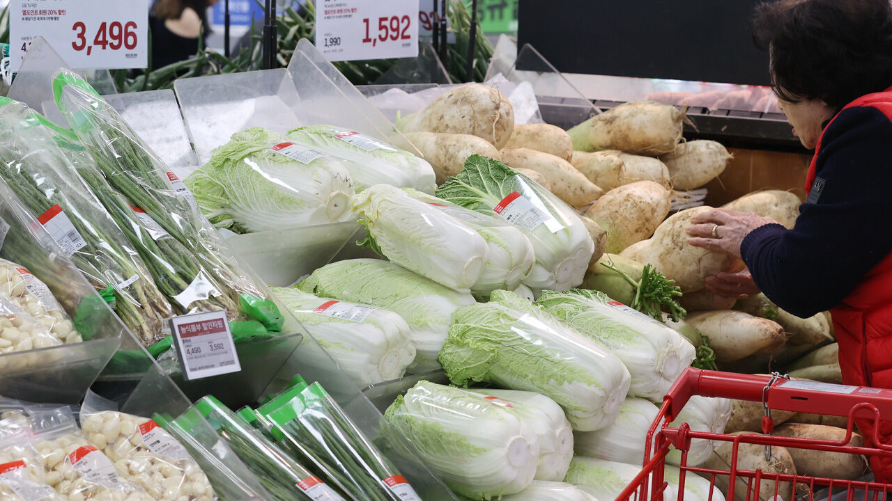 농식품부, 배추·무 4만 7천t 공급…500억 원 할인 예산 투입