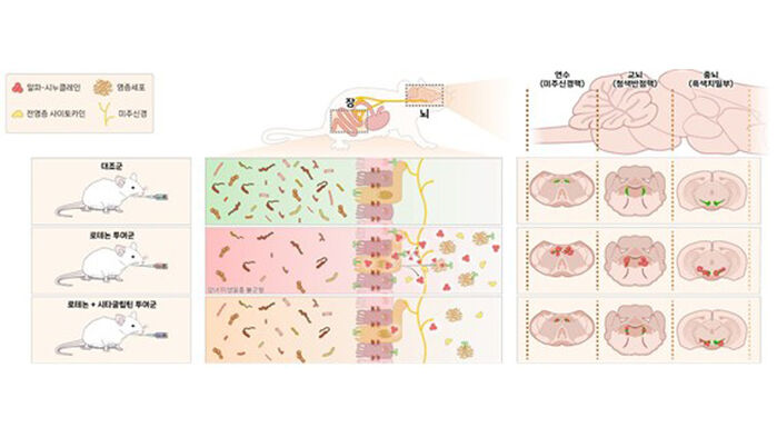 연구결과 자료사진