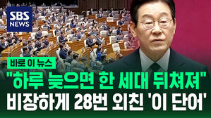 이재명 시정연설