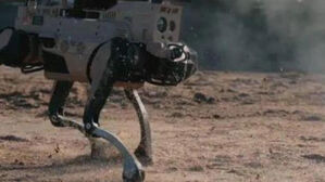 중국, 타이완 상륙 지상전 훈련에 '늑대로봇'…"인간·무인 혼합편성"