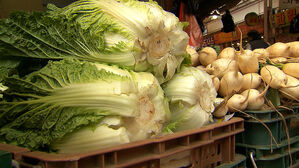 배추·무 4만 7천t 공급…500억 원 할인 예산 투입