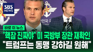 [바로이뉴스] "핵잠수함 승인 맞다니까?" 재확인한 미 국방장관…"트럼프는 동맹이 강하길 원해"