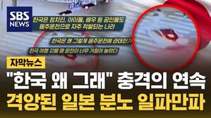 자막뉴스 김성화_일본 모녀 사고 일본 반응