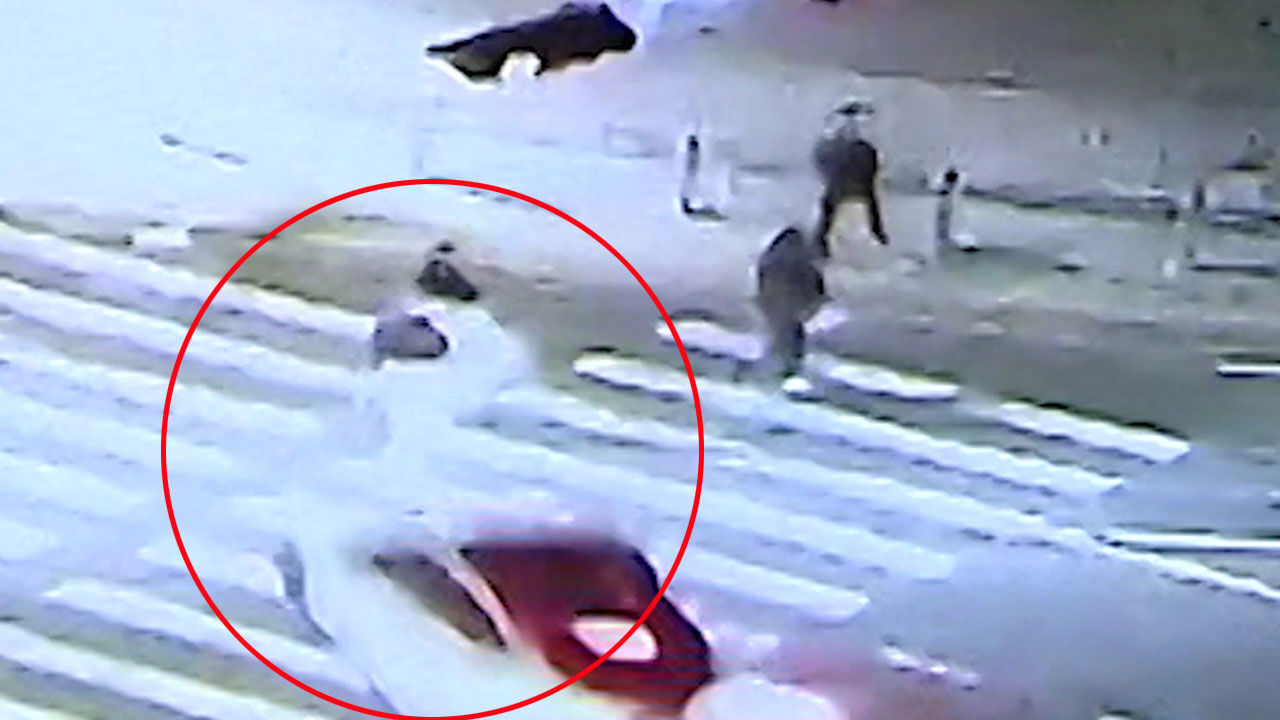 '일본인 모녀 참변' 음주운전자, 내일 오후 법원서 구속심사