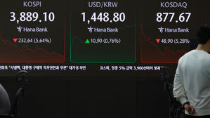 '검은 수요일' 코스피 6%↓…급등 부담 속 'AI 버블론' 직격