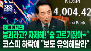 [바로이뉴스] 붕괴라고? 자제해! "숨 고르기잖아&sim;"&hellip;코스피 하락에 "보도 유의해달라"