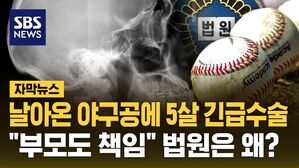 자막뉴스 김성화_야구공 맞은 5살