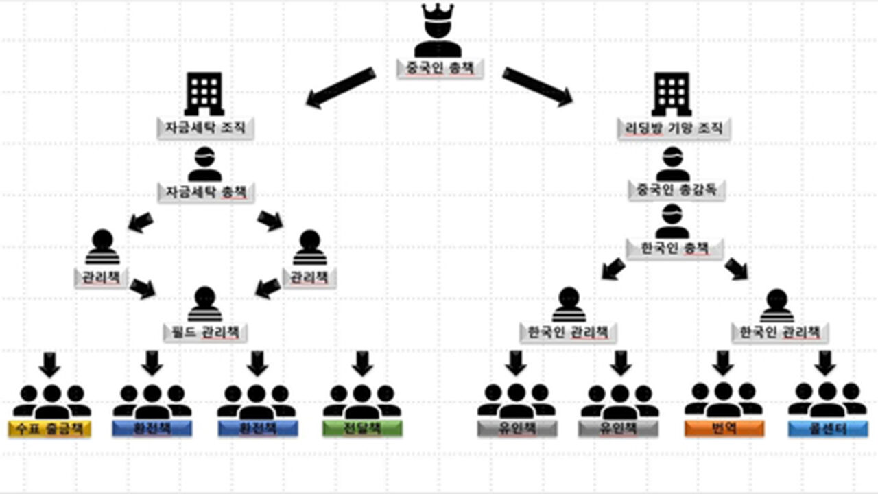 캄보디아 거점 사기 조직 조직도