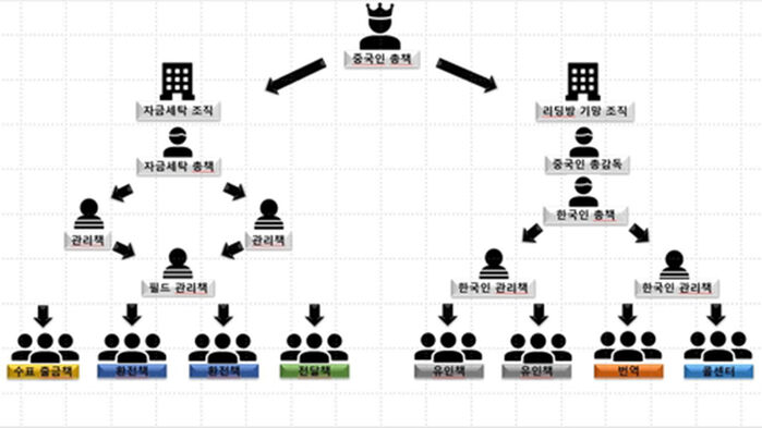 캄보디아 거점 사기 조직 조직도