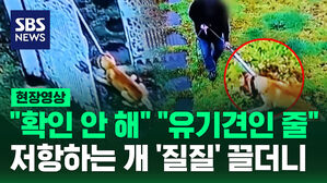[현장영상] 마취총 맞고 낯선 사람에게 끌려 '질질'…반려견 납치사건의 전말