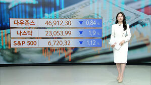 [뉴욕증시] AI 관련주 고평가 논란 제기…기술주 하락