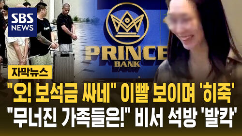 [자막뉴스] "오! 보석금 싸네" 이빨 보이며 히죽…"캄보디아에서 그렇게 하고는" 발칵