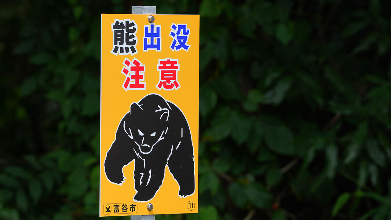 "사람 잡는 곰 잡아라"…일본 자위대 이어 경찰 기동대도 파견