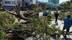 필리핀 강타한 태풍 '갈매기' 베트남 상륙…인명 피해 속출