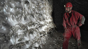 그리스 동굴서 11만 마리가 만든 32평 '거대 거미줄' 발견