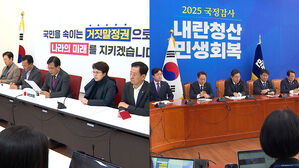 "대통령실 개입했나 밝혀야"…"반발은 명백한 항명"