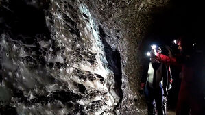 '세계 최대' 거미줄 발견…30평대 아파트 규모