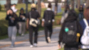 600명 시험서 줄줄이 '0점'…교수 공지에 발칵, 무슨 일