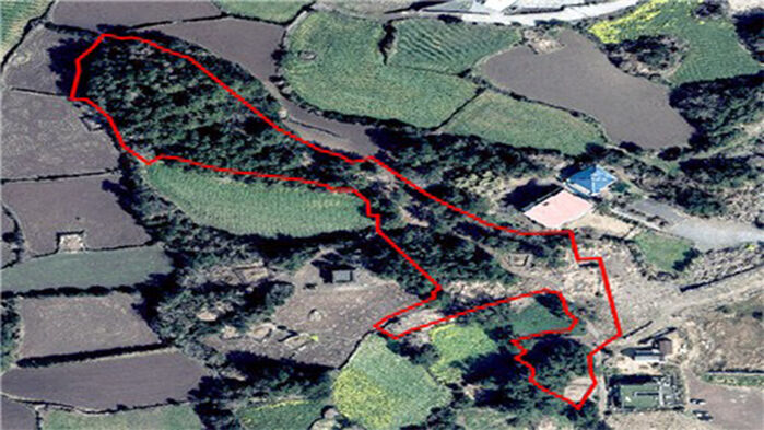 훼손되기 전 임야 사진 (사진=제주도 자치경찰단 제공, 연합뉴스)