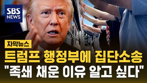 [자막뉴스] 조지아주 한국인 근로자들, 트럼프 행정부에 집단소송…이길 수 있을까