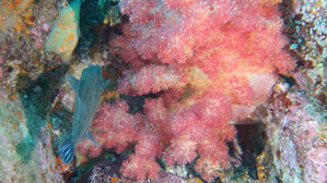 없던 게 몰려왔다…"100년간 못 돌아가" 경고 [더시그널]