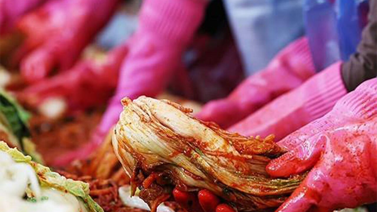 WSJ "케네디 보건장관도 자주 먹는 김치"…발효 음식 돌풍 조명