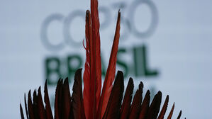 "아마존 파괴해놓고"…브라질 원주민, 기후총회 맞서 돌발시위