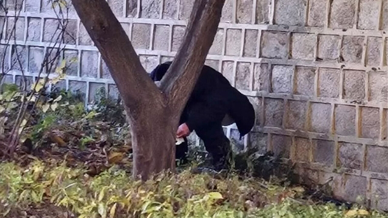 경복궁 돌담서 쭈그려 앉아 용변 본 남성, 범칙금 5만 원