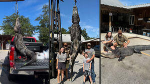 출산휴가 중 이런 사냥…짐칸서 꺼내자 무려 277kg