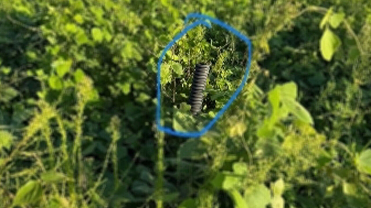 마약류를 숨긴 공터 풀밭 (사진=부산경찰청 제공, 연합뉴스)