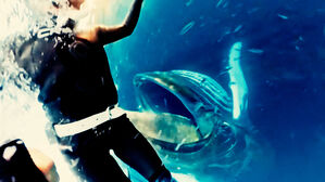 물고기떼 흩어지자 '쩍'…"삼켜질 뻔" 다이버 철렁